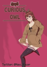 Curious Owl : página 1