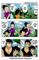 Dragon Ball H : página 28