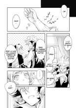 Flannel x Elise no Ero Manga : página 17