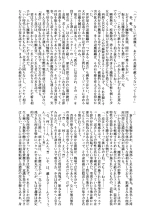 Futsumanin Himemaru : página 5