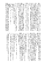 Futsumanin Himemaru : página 9