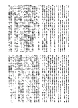 Futsumanin Himemaru : página 11