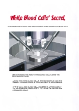 White Blood Cell Secret : página 3