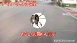 Hentai!! Seibutsu Kansatsu Channel ~Pet no G to Yasei no JK o Koubi sasete mita~ : página 166