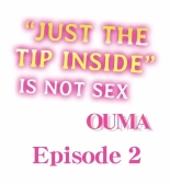 Just the Tip Inside is Not Sex Ch.3636  Completed : página 11