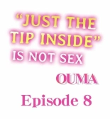 Just the Tip Inside is Not Sex Ch.3636  Completed : página 65