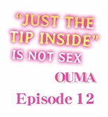 Just the Tip Inside is Not Sex Ch.3636  Completed : página 148