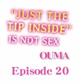 Just the Tip Inside is Not Sex Ch.3636  Completed : página 320