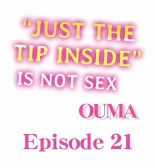 Just the Tip Inside is Not Sex Ch.3636  Completed : página 340
