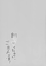 Katte kudasai, goshujin-sama! : página 19