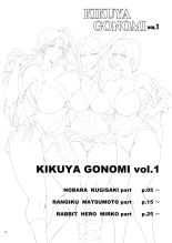 KIKUYA GONOMI vol.1 : página 4