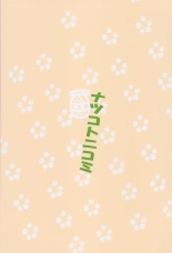 Kuma no Mitsu Atsume Full Colour Ban : página 24