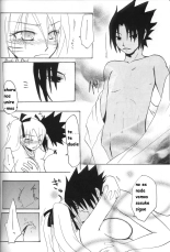 La Persuacion de Naruto : página 14
