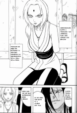 Naruto - La Respuesta de Tsunade : página 2