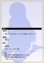 Nemutteiru Toaru Half-elf no Musume ni Itazura!! : página 27