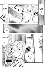 NISE Zelda no Densetsu Shinshou : página 24