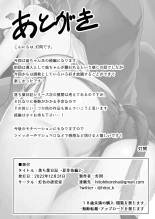 Diario de Hojas Caidas -Natsume Nae Hen 2- : página 33