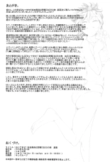 Oidemase!! Jiyuu Fuuzoku Gensoukyou 2-haku 3-kka no Tabi - Seiren : página 29
