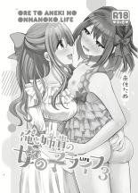 Ore to Aneki no Onnanoko Life 3 : página 3