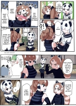 Panda Harem : página 1