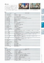 Sankai Ou no Yubiwa Perfect Guidebook : página 145