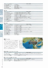 Sankai Ou no Yubiwa Perfect Guidebook : página 148