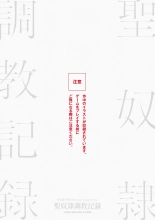 Sei Dorei Gakuensai Remaster Complete Box Digital Genga syu Seidorei Cyokyo Kiroku : página 3