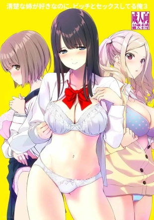 hentai Seiso na Ane ga Suki nanoni, Bitch to Sex Shiteru Ore 3