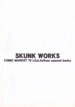 SKUNK WORKS : página 12