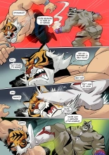 Tigermask X HD : página 21