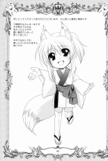 Wonderful Fox : página 4